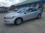 2008 Honda Accord EX