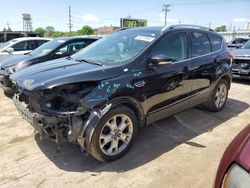 Salvage cars for sale at Chicago Heights, IL auction: 2016 Ford Escape Titanium