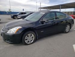 Salvage cars for sale at Anthony, TX auction: 2011 Nissan Altima Hybrid