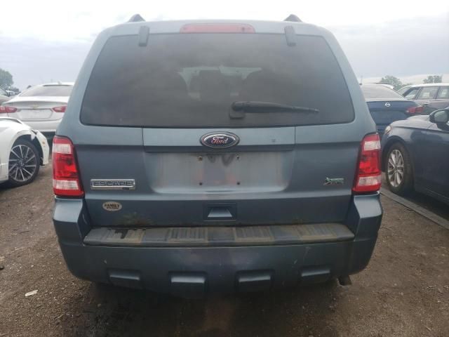 2010 Ford Escape XLT