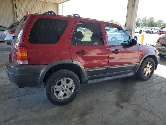 2006 Ford Escape XLT