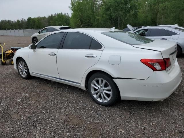 2010 Lexus ES 350