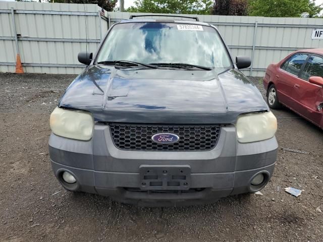 2007 Ford Escape XLT