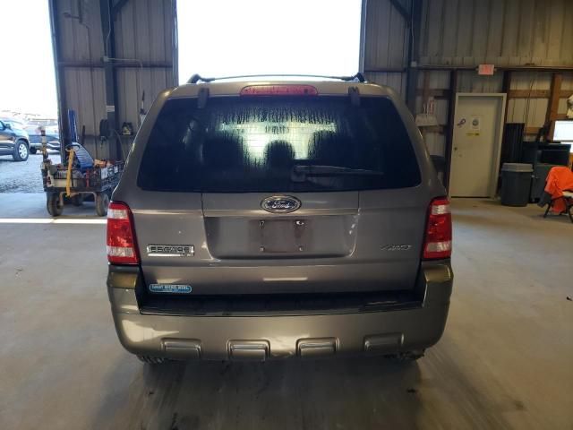 2009 Ford Escape XLT