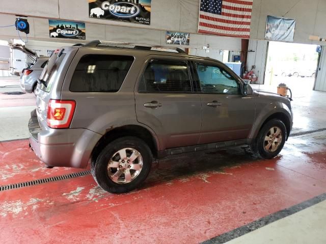 2011 Ford Escape Limited