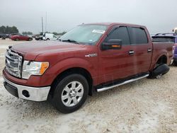 Salvage cars for sale at Temple, TX auction: 2014 Ford F150 Supercrew