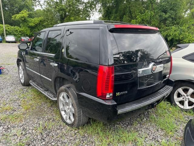 2013 Cadillac Escalade Hybrid