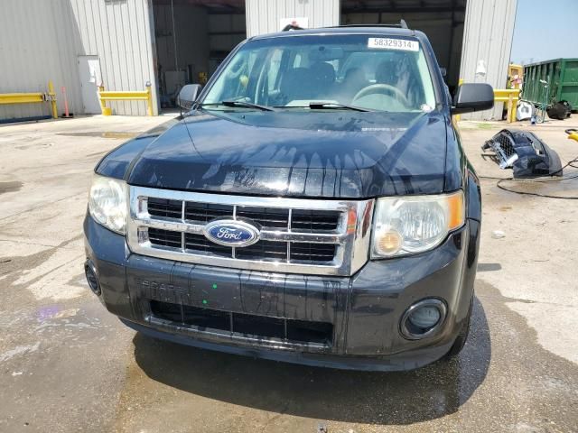 2010 Ford Escape XLS