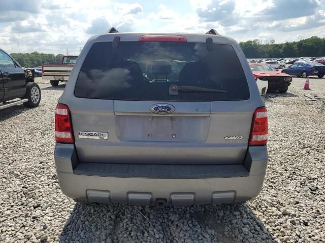 2008 Ford Escape XLT