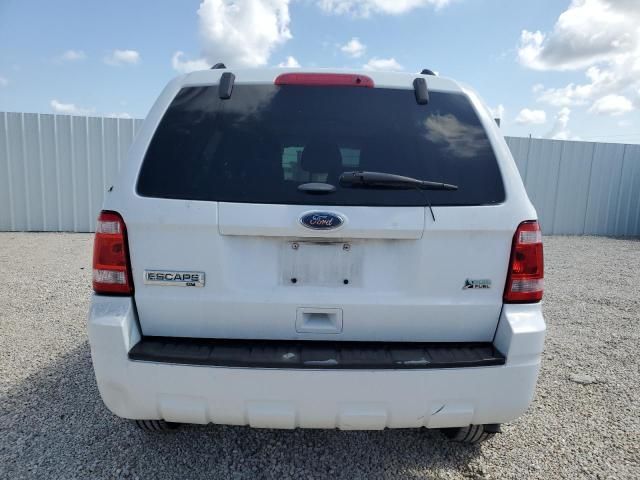 2012 Ford Escape XLT