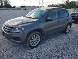 Volkswagen salvage cars for sale: 2014 Volkswagen Tiguan S