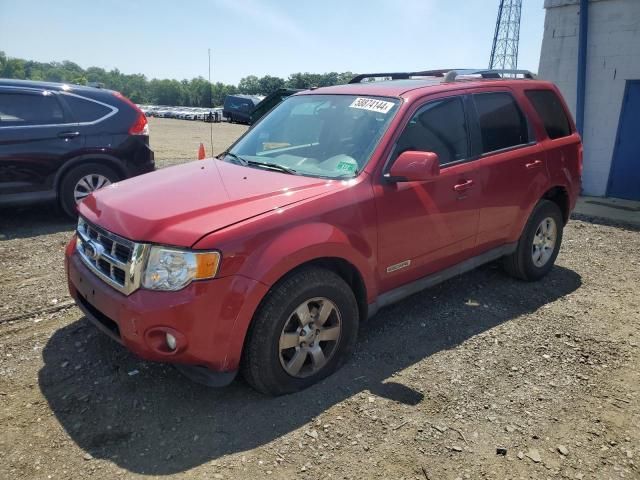 2011 Ford Escape Limited