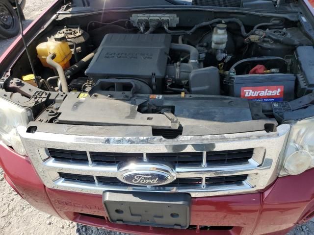 2009 Ford Escape XLT