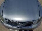 2009 Honda Accord LXP