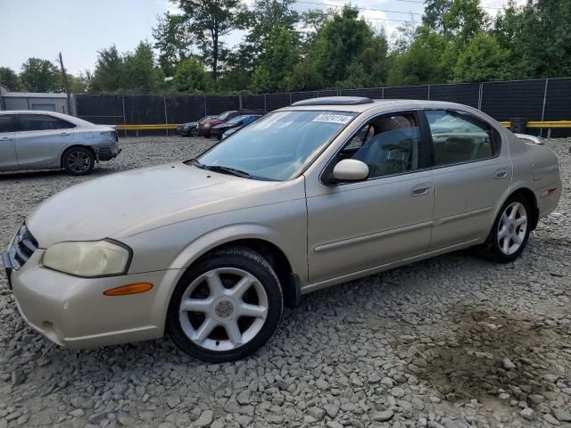 2001 Nissan Maxima GXE