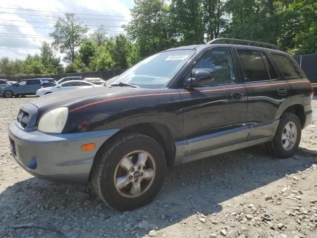 2005 Hyundai Santa FE GLS