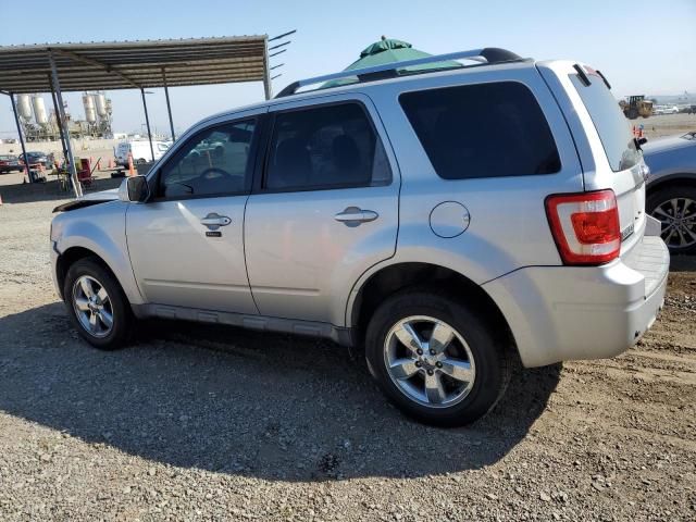 2011 Ford Escape Limited