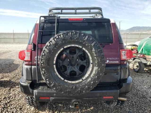 2007 Toyota FJ Cruiser