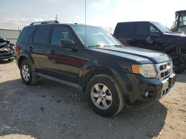 2010 Ford Escape Limited