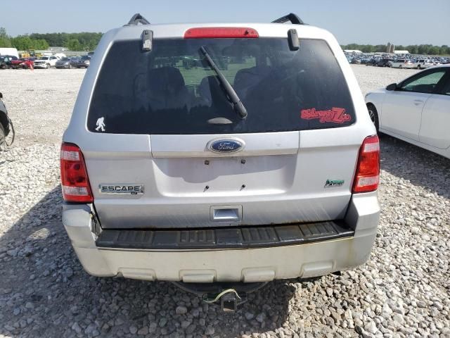 2011 Ford Escape XLT