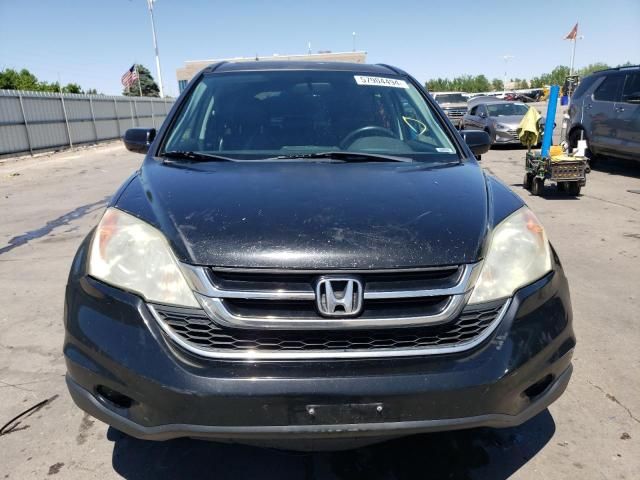 2010 Honda CR-V EXL