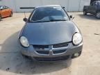 2005 Dodge Neon SXT