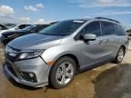 2019 Honda Odyssey EXL