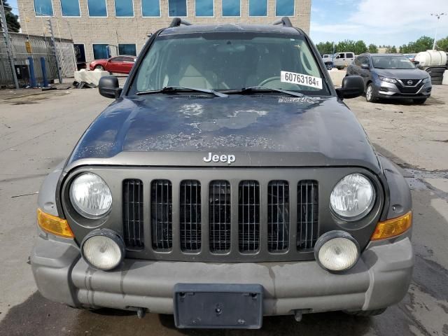 2006 Jeep Liberty Renegade