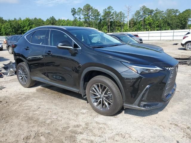 2024 Lexus NX 250 Base