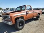 1973 Chevrolet Pickup