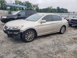 Salvage cars for sale at Spartanburg, SC auction: 2014 Honda Accord EXL