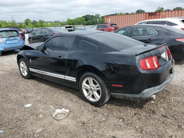 2010 Ford Mustang