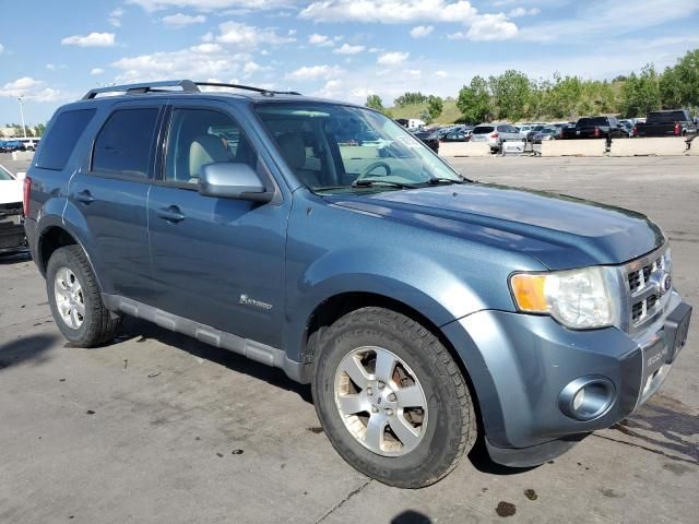 2010 Ford Escape Hybrid