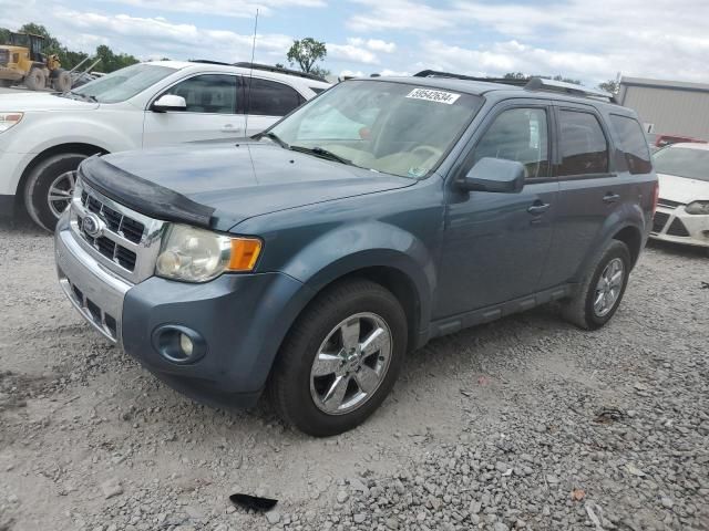 2010 Ford Escape Limited