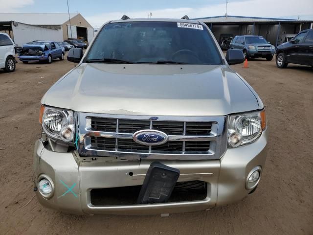 2011 Ford Escape XLT