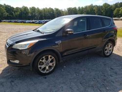 Salvage cars for sale at Charles City, VA auction: 2013 Ford Escape SEL