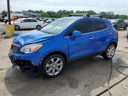 Salvage cars for sale at Louisville, KY auction: 2013 Buick Encore Premium