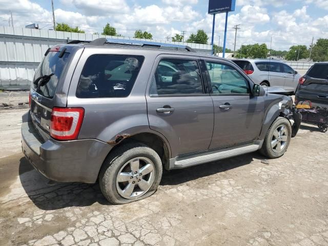 2010 Ford Escape Limited