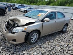 Toyota Vehiculos salvage en venta: 2010 Toyota Corolla Base