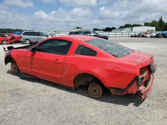 2010 Ford Mustang