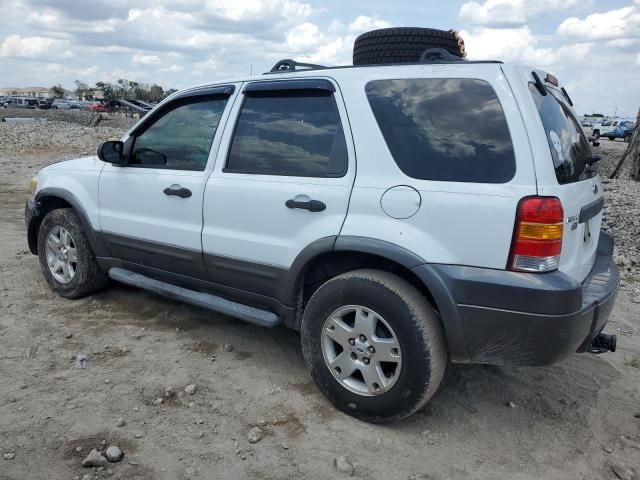 2006 Ford Escape XLT