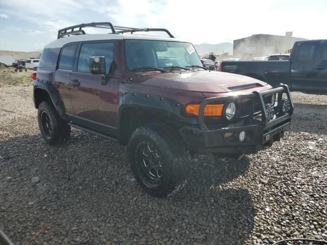 2007 Toyota FJ Cruiser