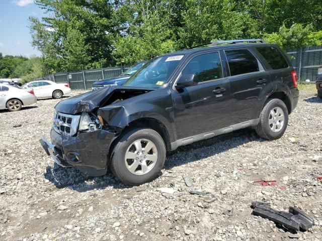 2011 Ford Escape Limited