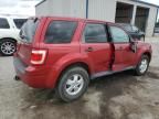 2009 Ford Escape XLS