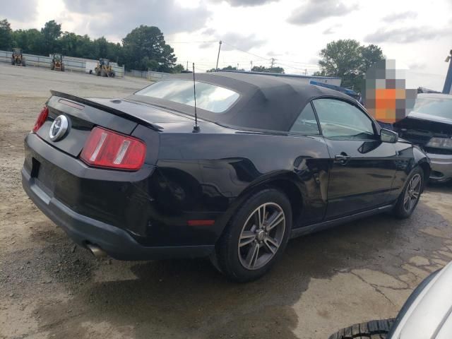 2010 Ford Mustang