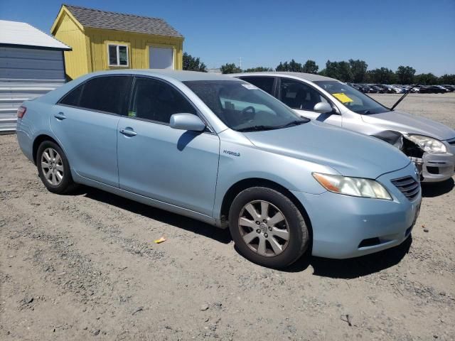 2009 Toyota Camry Hybrid