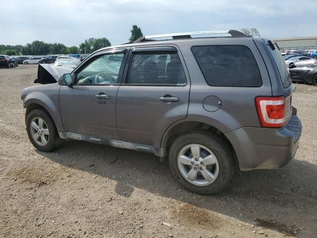 2011 Ford Escape Limited