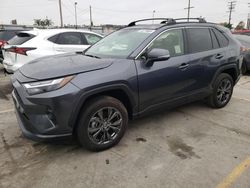 Toyota rav4 xle Premium salvage cars for sale: 2024 Toyota Rav4 XLE Premium