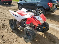 Salvage motorcycles for sale at Kincheloe, MI auction: 2024 Honda TRX250 X