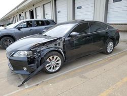 Salvage cars for sale at Louisville, KY auction: 2014 Lexus ES 300H